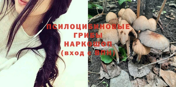 ПСИЛОЦИБИНОВЫЕ ГРИБЫ Аркадак