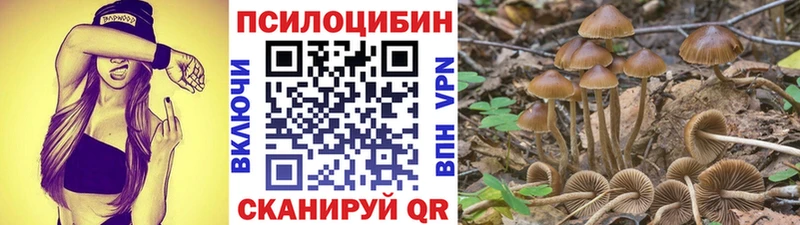 Псилоцибиновые грибы MAGIC MUSHROOMS  Купить  Междуреченск 